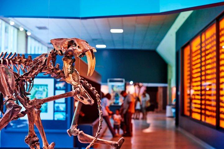La Brea Teergruben und Museum Eintrittskarte mit Baggertour