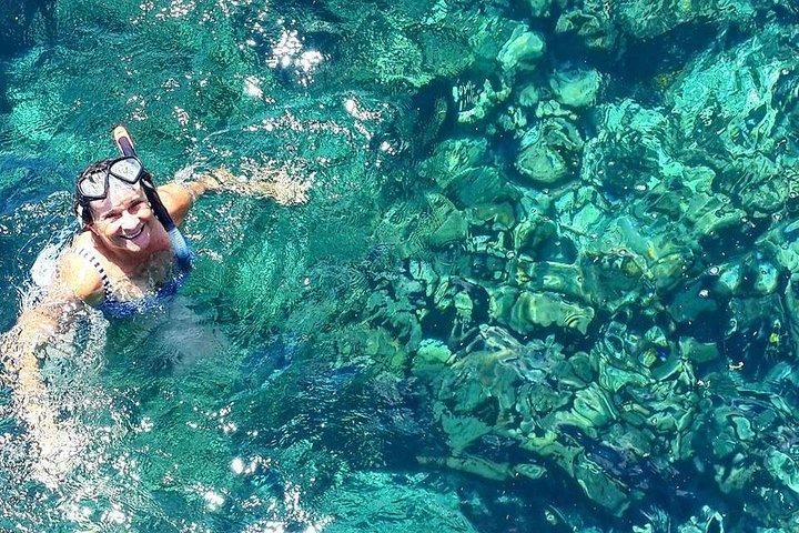Tobago Buccoo Reef Glass Bottom Boat Cruise og Island Sightseeing Tour