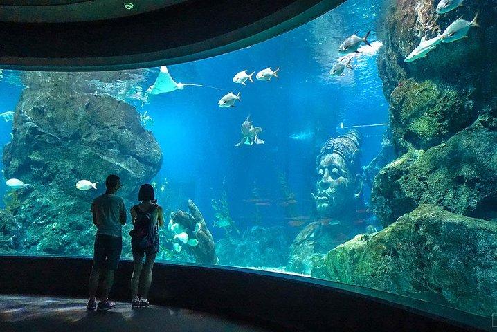 Entrada SEA LIFE Bangkok Ocean World com transferência privada