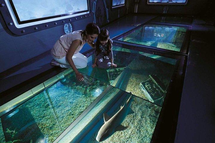Entrada SEA LIFE Bangkok Ocean World com transferência privada