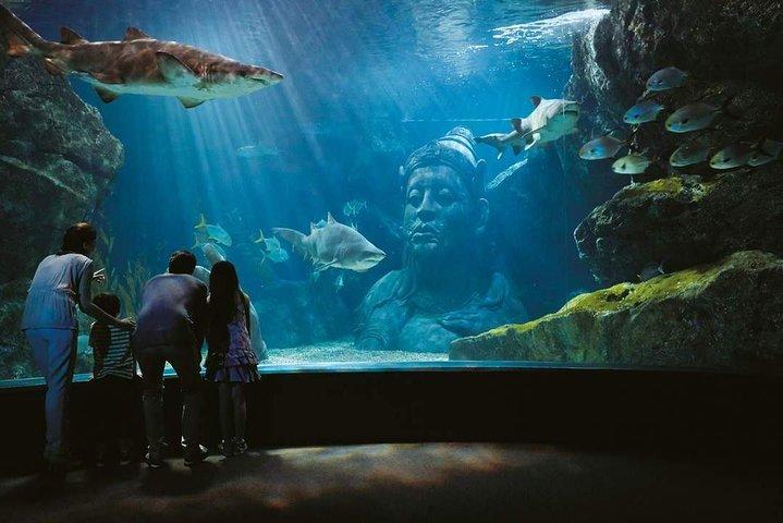 Bangkok SEA LIFE & Madame Tussauds Combo con traslados al hotel