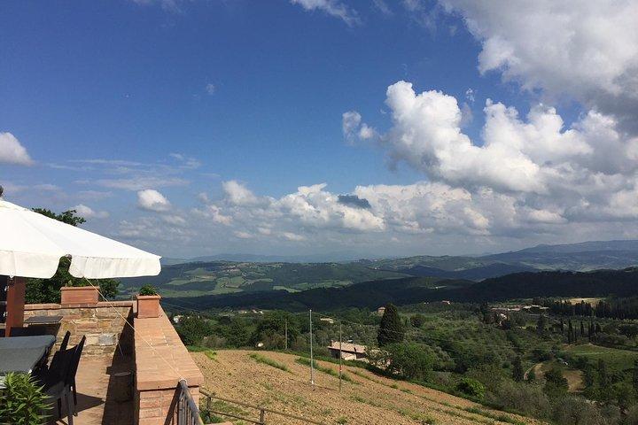 Brunello di Montalcino, små biodynamiska vingårdar