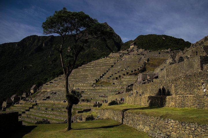 Day Trip to Machu Picchu by Train from Cusco