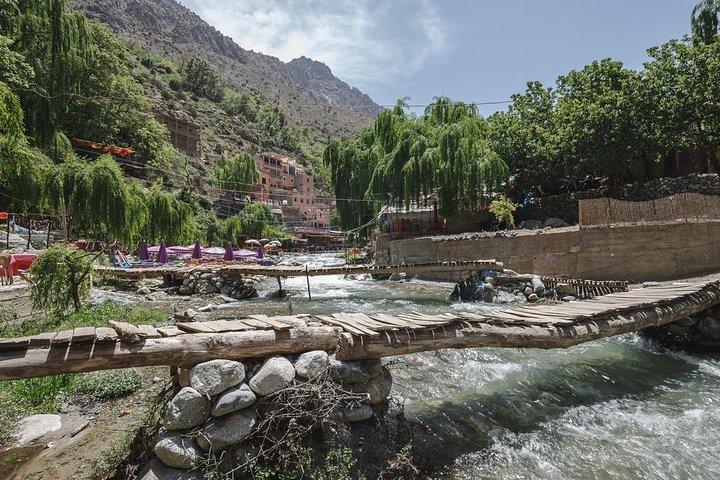 Day trip to the High Atlas and Ourika Valley: Private