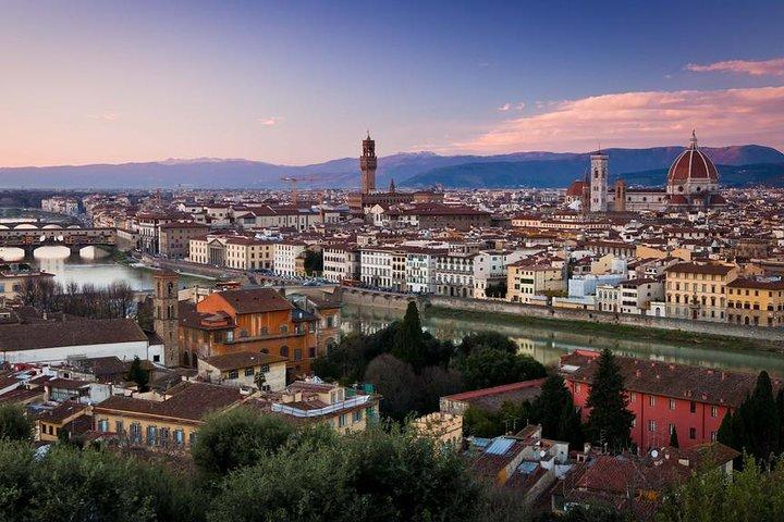 Florence et Pise Privé 8 heures Tour du port de croisière de Livourne