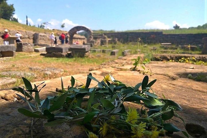 Tour en grupos pequeños Katakolon : sitio olímpico, degustación de miel/aceite de oliva