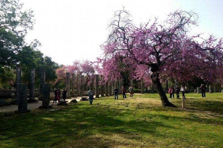 Katakolon Shore Ex: Skip-the-Lines Ancient Olympia & Olive market (em inglês)