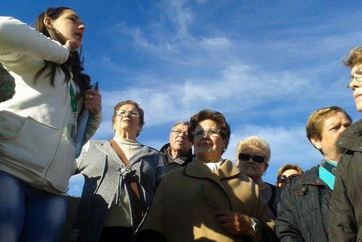 Van Sevilla: Pig Farm privédagtour en bezoek aan oude dorpen