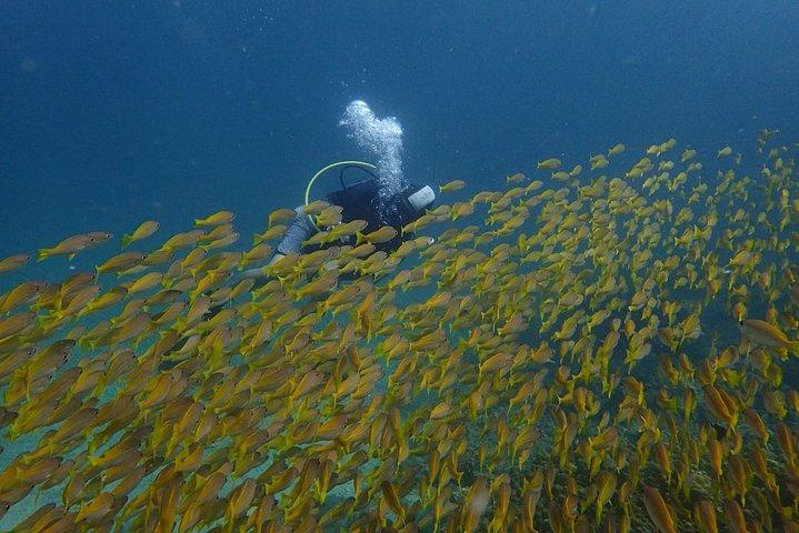 Full-Day Similans Scuba Diving desde Phuket