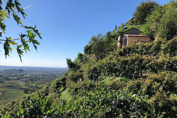 Ein funkelnder Tag in den Prosecco Hills von Venedig