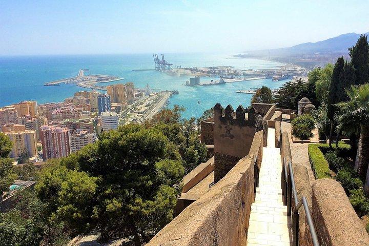 Private Tagestour in Malaga mit Hotel oder Landabholung von Marbella