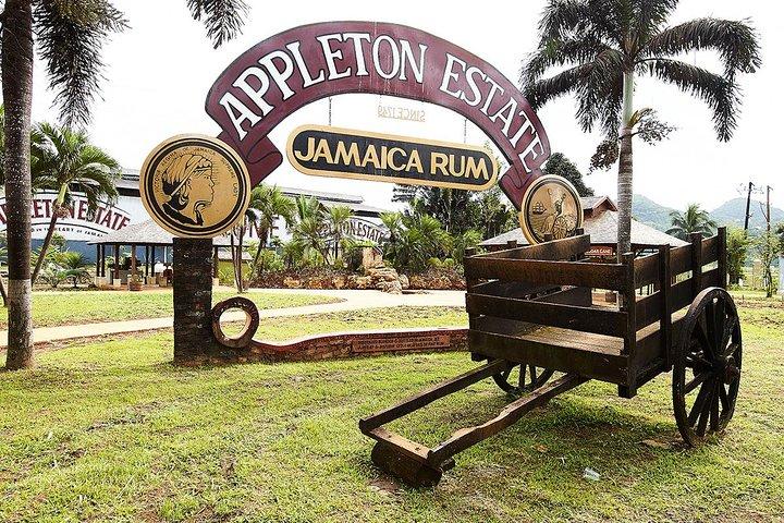 Tour e degustação de rum de Appleton Estate saindo de Ocho Rios