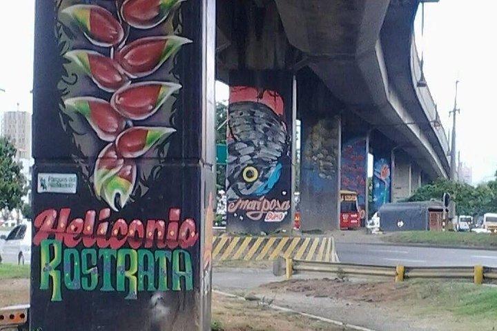 Heldags privat Medellin City, Street Art og Food Tour