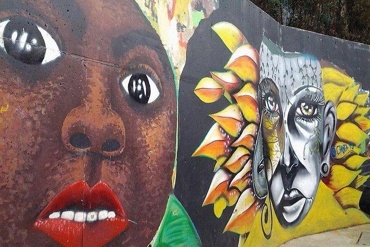 Heldags privat Medellin City, Street Art og Food Tour