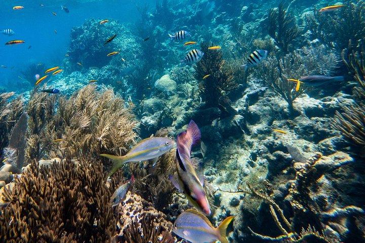 Puerto Plata Snorkeling Tour