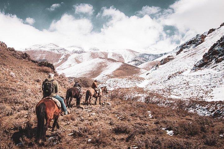 Excursion d'une journée au départ de Mendoza - Ranch Don Daniel