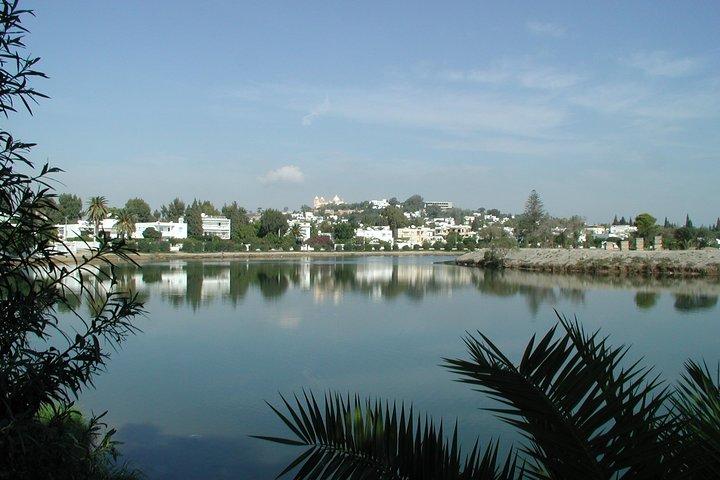 1/2 dag carthage & sidi bou sagde
