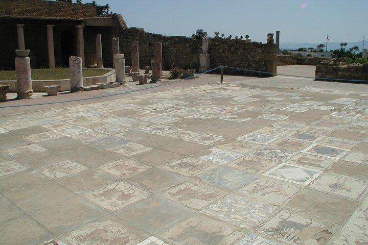 1/2 dag carthage & sidi bou sagde