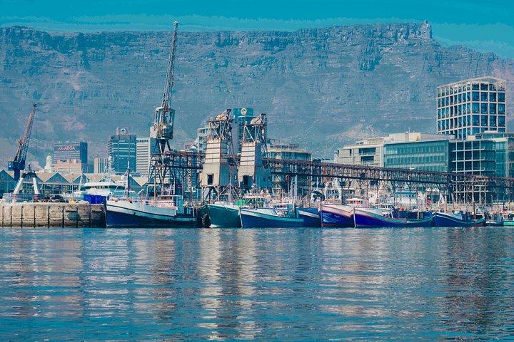 Cape Town 30 minutos V & A Harbour Cruise