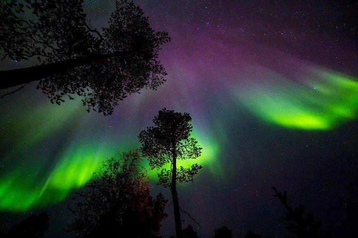 Notte di renne e aurora boreale in piccoli gruppi
