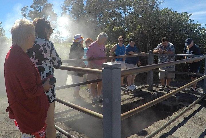 Hilo Shore Excursion : Parco Nazionale dei Vulcani e Spiaggia di Sabbia Nera