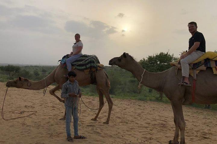 Halbtägige Kamel Safari in Jaisalmer