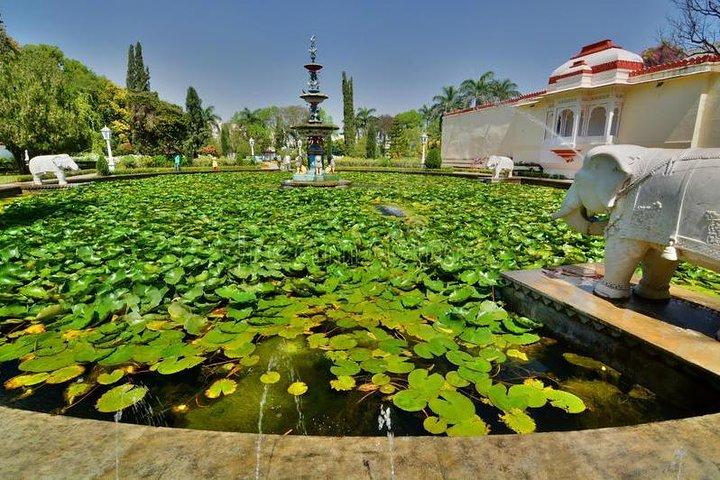 Besøg til Sahelion Ki Bari, Maidens Have, Udaipur