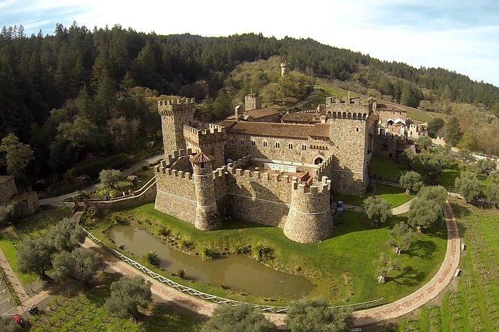 Napa e Sonoma: tour privato del vino di 8 ore da San Francisco XL SUV