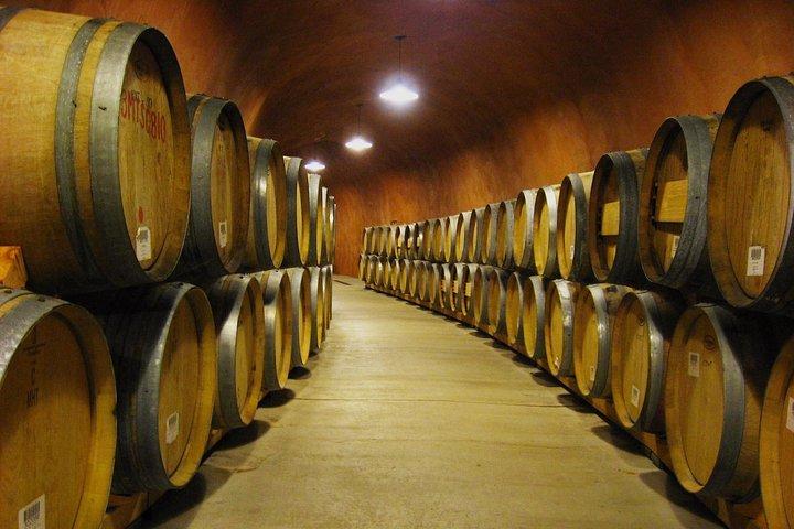 Napa e Sonoma: tour privato del vino di 8 ore da San Francisco XL SUV