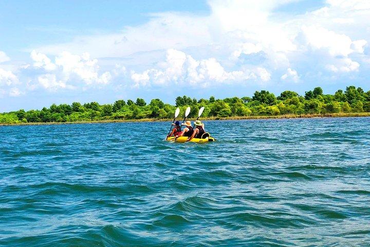 Albania Birdwatching, Kayak, Bicycle National Park Divjaka Karavasta (ARG)