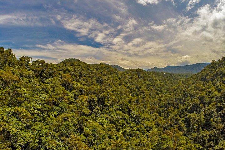 MINDO CLOUD FOREST: Natur & Abenteuer - Flexible private Tagestour
