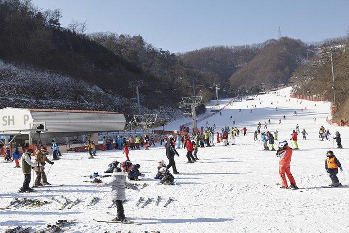 Excursion privée de ski (cours) près de Séoul au complexe touristique Elysian Gangchon