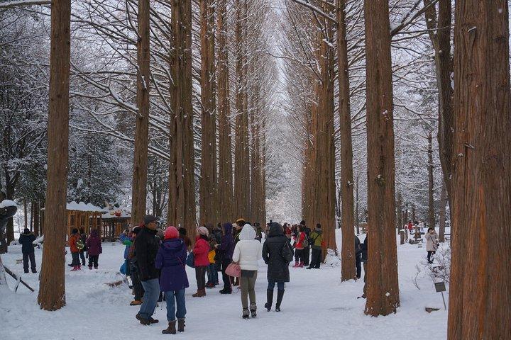 [Visite privée parfaite] Strawberry Farm & Nami Island & Déjeuner