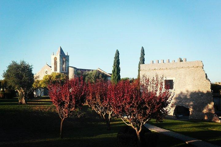 Figueira da Foz da risaie e saline, mezza giornata da Coimbra