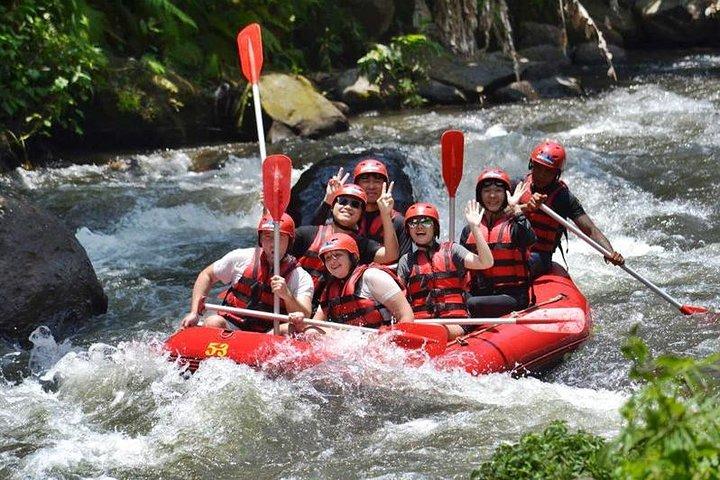 ウブドのAyung River Half-Day White Water Rafting Bali