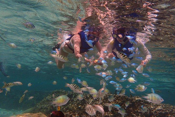 Guam's 5* Guided Snorkeling / Freediving Tour!