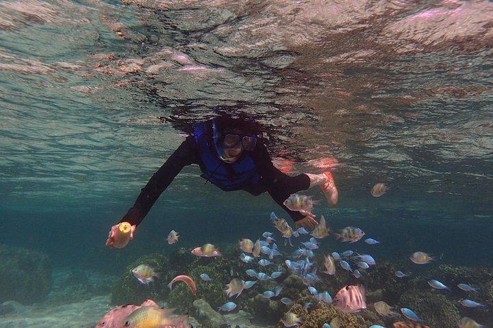 Guam's 5* Guided Snorkeling / Freediving Tour!
