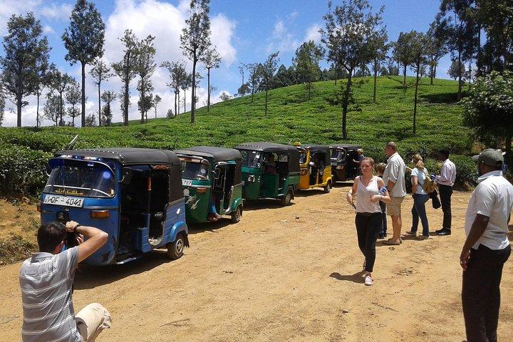 Tuk Tuk safari en picknick in The Tea Plantation van Ella, Haputale en Bandarawela