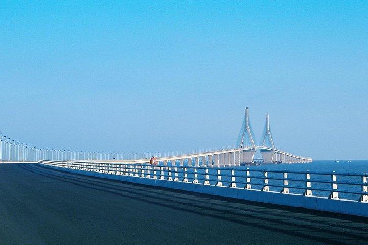 上海東海大橋と陽山港プライベートツアー