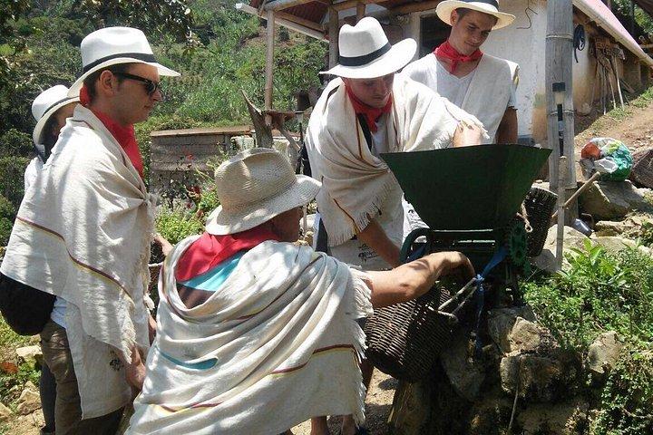Visite du café à cheval et déjeuner à Medellin
