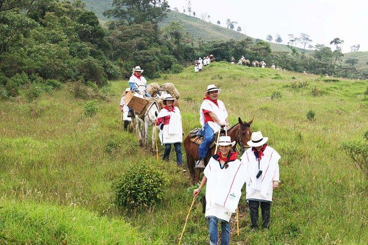 Visite du café à cheval et déjeuner à Medellin