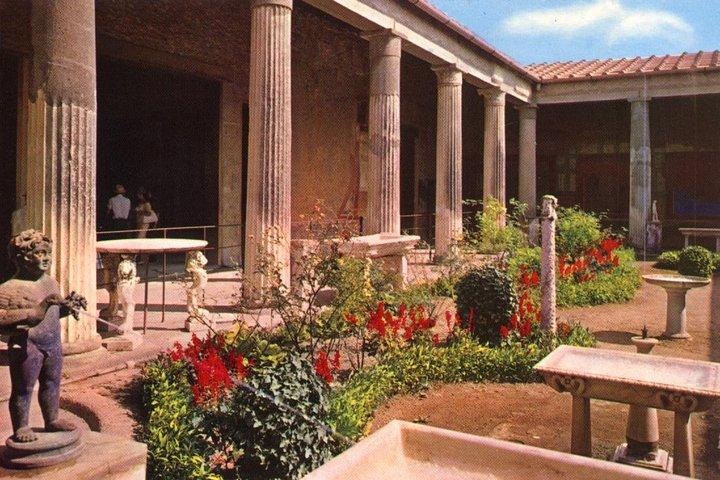 Tour todo incluido por Pompeya con guía, almuerzo y ticket desde Roma