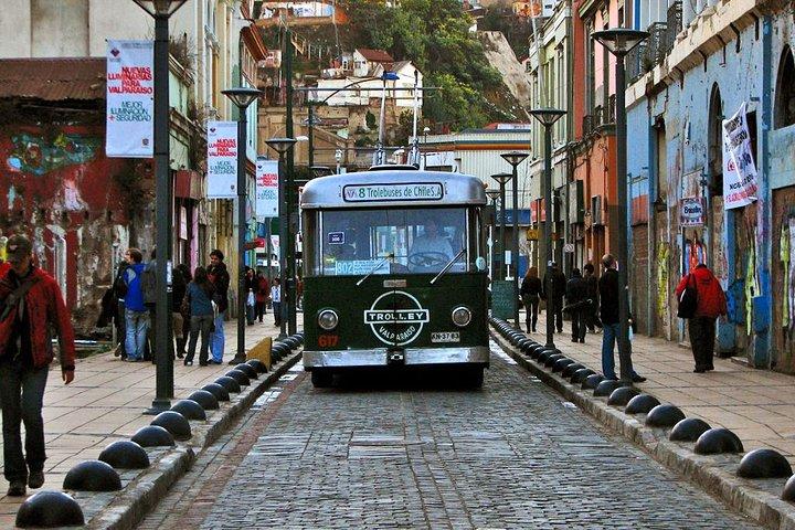 プライベートツアー：Viñadel MarとValparaísoツアー、カサブランカバレーでのワインテイスティング