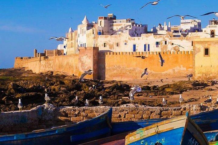 Essaouira Day Trip From Marrakesh."Agan Forest, Atlantic coast"
