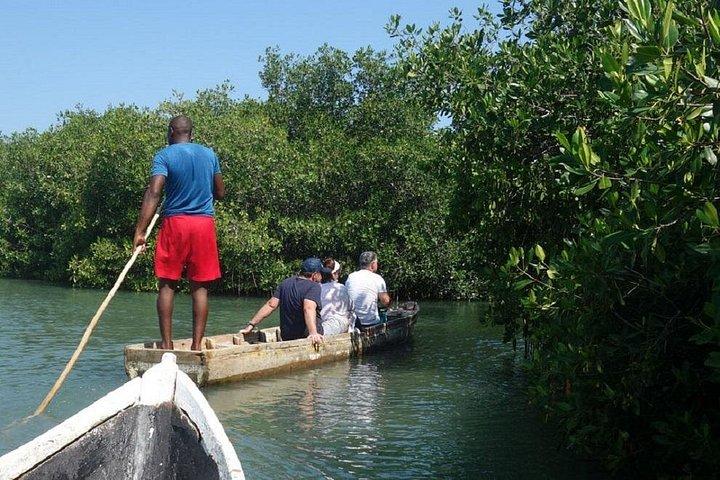 Cartagena canoe mangroves with private transportation