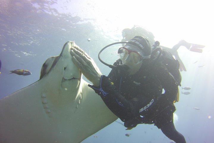 Duikbeginnensessie in Costa Adeje