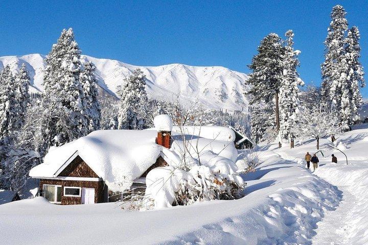 Excursión de un día a Gulmarg desde Srinagar con almuerzo