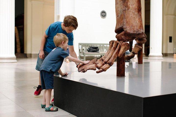 Billets d'entrée au Musée d'histoire naturelle de Field