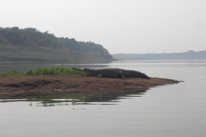 Chambal Safari - Tagesausflug von Agra