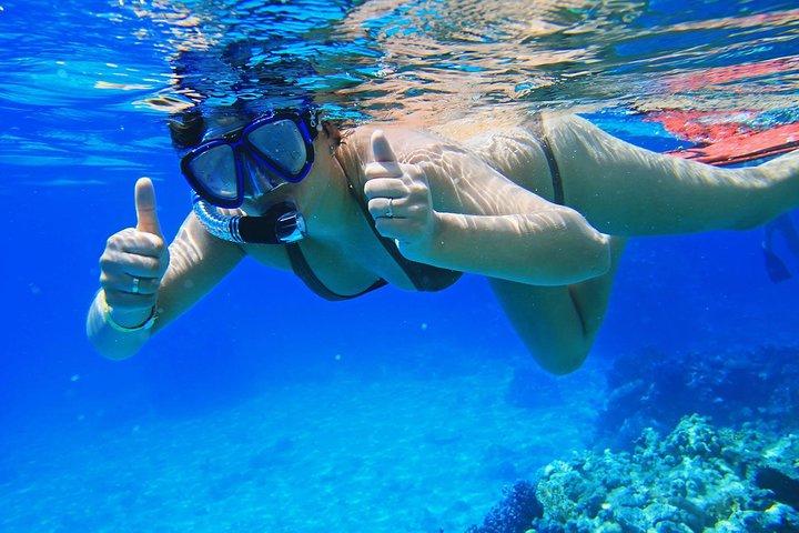 シャルム・エル・シェイクでボートでホワイト島へシュノーケリング日帰り旅行